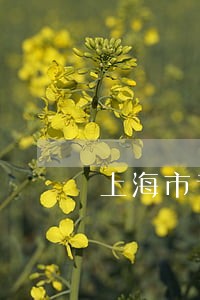 上海市专业房产官司律师事务所 上海市专业房产官司律师事务所