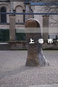 上海市专业的刑事律师 上海市专业的刑事律师