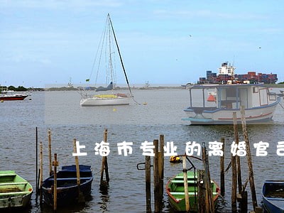 上海市专业的离婚官司律师 上海市专业的离婚官司律师