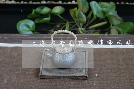 上海市专业离婚律师网站 上海市专业离婚律师网站