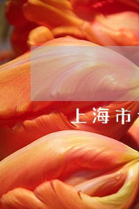上海市专注法律顾问 上海市专注法律顾问