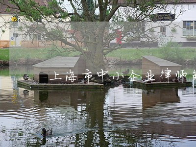 上海市中小企业律师免费咨询 上海市中小企业律师免费咨询