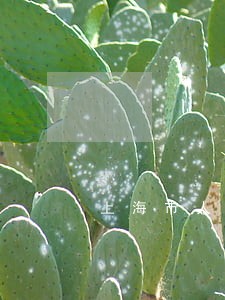 上海市人身侵权律师怎么办 上海市人身侵权律师怎么办