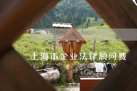上海市企业法律顾问费 上海市企业法律顾问费