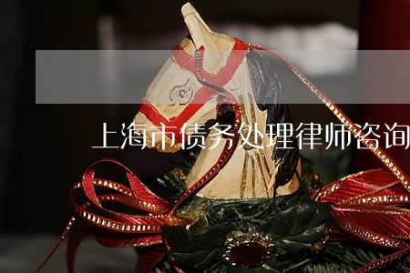 上海市债务处理律师咨询 上海市债务处理律师咨询