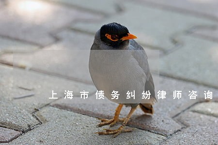 上海市债务纠纷律师咨询免费 上海市债务纠纷律师咨询免费