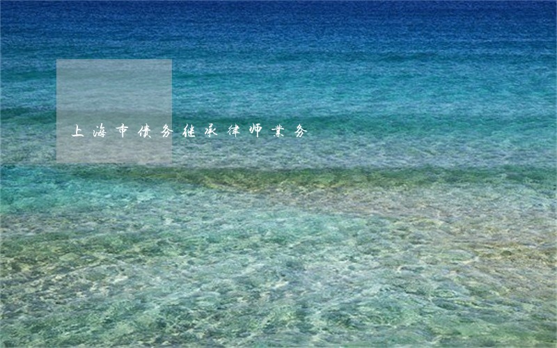 上海市债务继承律师业务 上海市债务继承律师业务