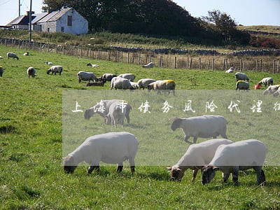 上海市债务风险代理律师微信咨询 上海市债务风险代理律师微信咨询