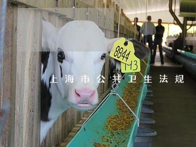 上海市公共卫生法规