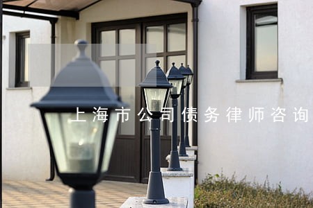 上海市公司债务律师咨询 上海市公司债务律师咨询