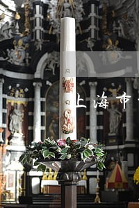 上海市公司合同律师多少钱