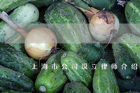 上海市公司设立律师介绍 上海市公司设立律师介绍