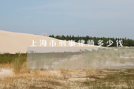 上海市刑事律师多少钱 上海市刑事律师多少钱