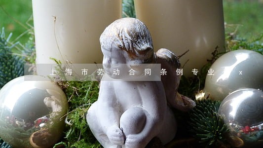 上海市劳动合同条例专业版x