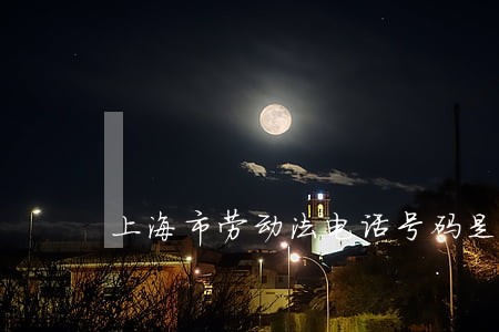 上海市劳动法电话号码是多少 上海市劳动法电话号码是多少