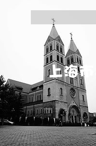 上海市司法局缪晓宝简历