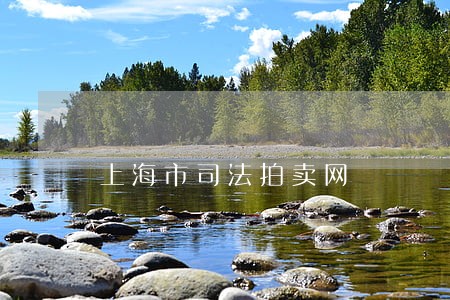 上海市司法拍卖网 上海市司法拍卖网