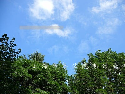 上海市各法院电话查询