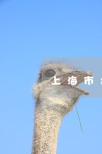 上海市合同案件律师电话 上海市合同案件律师电话