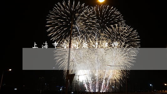 上海市合同欺诈律师 上海市合同欺诈律师