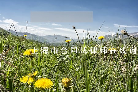 上海市合同法律师在线询问 上海市合同法律师在线询问
