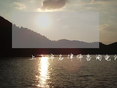 上海市名律师咨询电话 上海市名律师咨询电话
