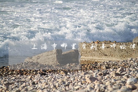 上海市哪里有刑事诉讼律师电话