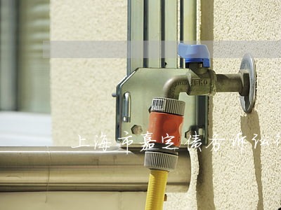 上海市嘉定债务诉讼律师联系方式 上海市嘉定债务诉讼律师联系方式