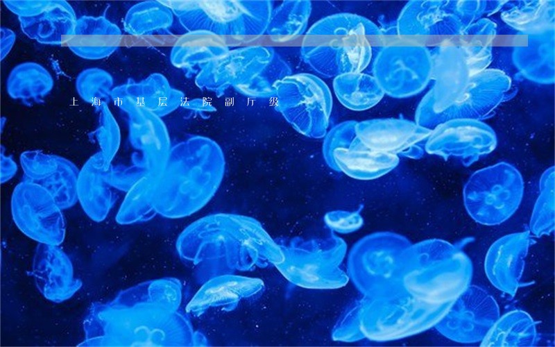 上海市基层法院副厅级