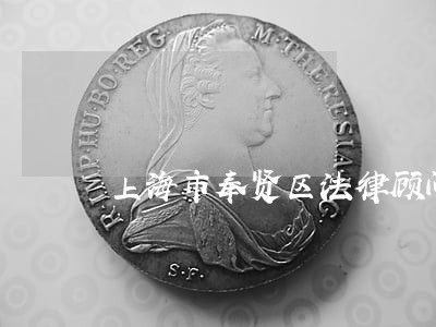上海市奉贤区法律顾问 上海市奉贤区法律顾问