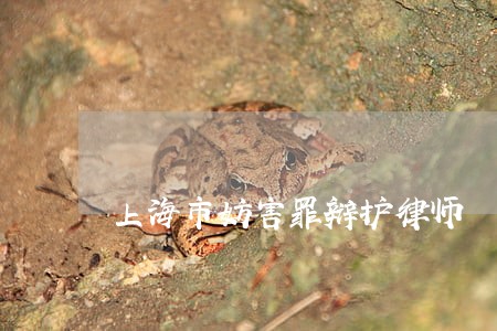 上海市妨害罪辩护律师 上海市妨害罪辩护律师