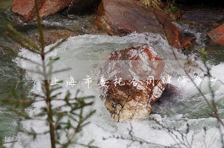 上海市委托合同律师多少钱 上海市委托合同律师多少钱