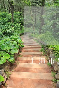 上海市婚房纠纷律师服务