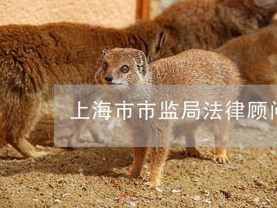 上海市市监局法律顾问