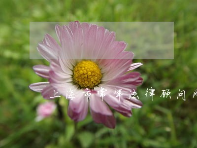 上海市常年法律顾问网 上海市常年法律顾问网