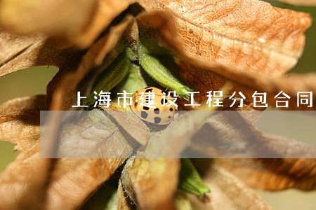 上海市建设工程分包合同律师找谁