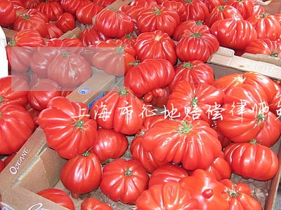 上海市征地赔偿律师免费咨询 上海市征地赔偿律师免费咨询