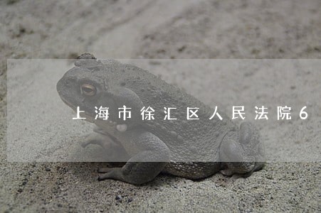 上海市徐汇区人民法院613号 上海市徐汇区人民法院613号