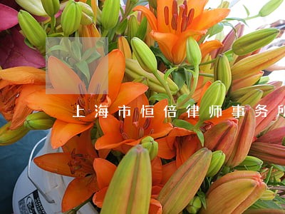 上海市恒倍律师事务所 上海市恒倍律师事务所