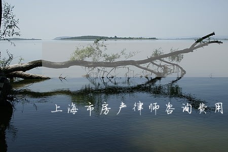 上海市房产律师咨询费用 上海市房产律师咨询费用