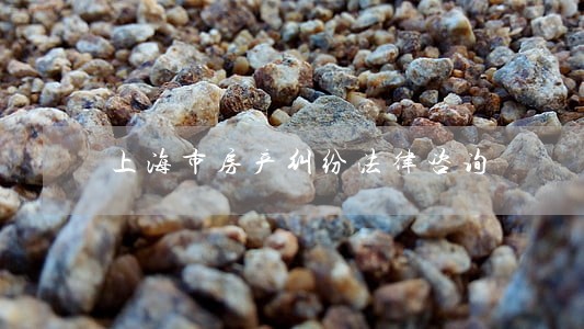 上海市房产纠纷法律咨询 上海市房产纠纷法律咨询