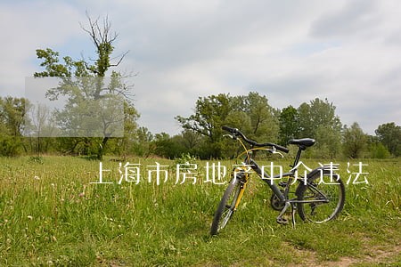 上海市房地产中介违法 上海市房地产中介违法