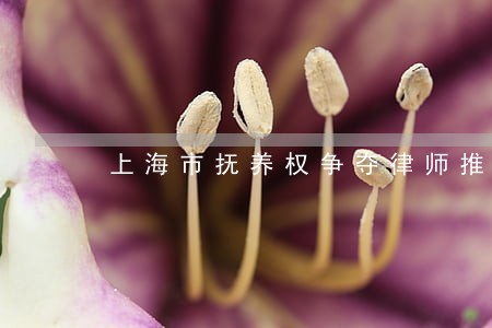 上海市抚养权争夺律师推荐 上海市抚养权争夺律师推荐