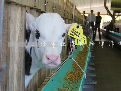 上海市担保纠纷律师哪里找 上海市担保纠纷律师哪里找