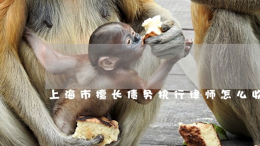 上海市擅长债务执行律师怎么收费 上海市擅长债务执行律师怎么收费
