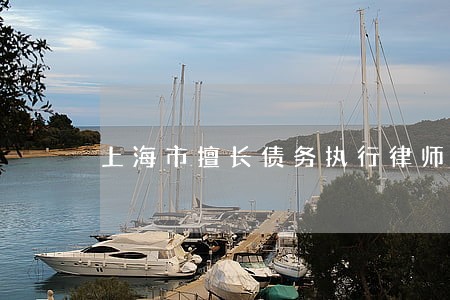 上海市擅长债务执行律师费用咨询 上海市擅长债务执行律师费用咨询