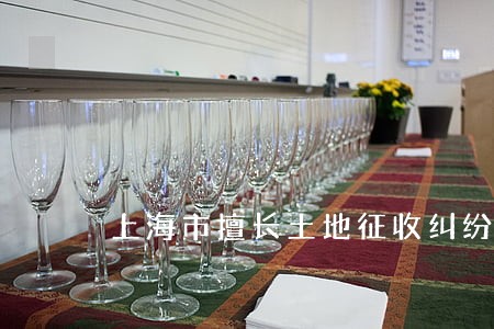 上海市擅长土地征收纠纷律师 上海市擅长土地征收纠纷律师