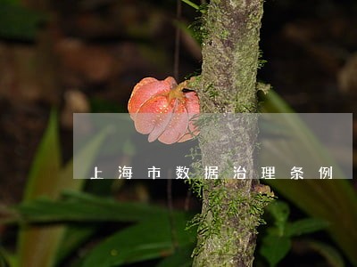 上海市数据治理条例 上海市数据治理条例