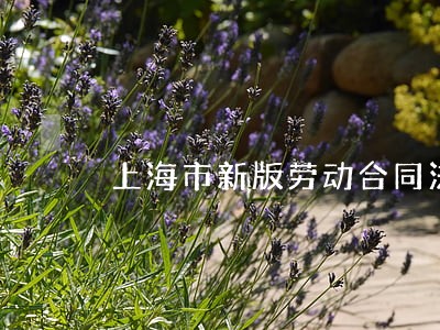 上海市新版劳动合同法 上海市新版劳动合同法