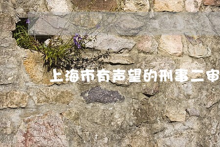上海市有声望的刑事二审律师 上海市有声望的刑事二审律师